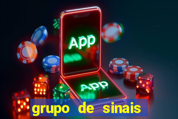 grupo de sinais fortune rabbit